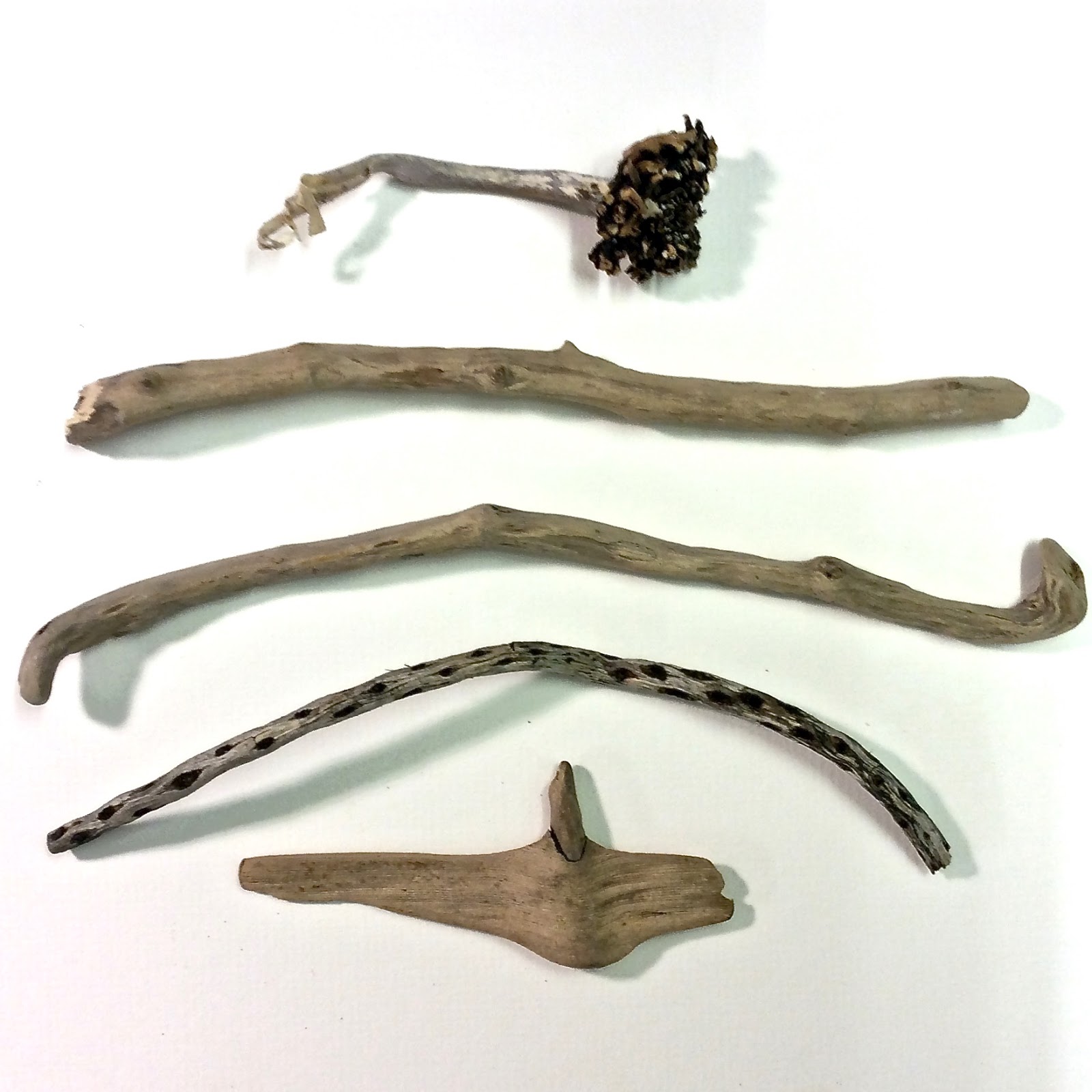 Pieces of driftwood in different shapes laid out for inspiration